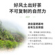 Dingqing Lake Saw Hopped Phoenix Single Covenant Tea Forgrance Amond Amond Old Fir Carbon Roreted Chaozhou Wulu Single Covenant 50g