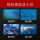Leqi SONAR FISH DETECTOR Kabel Wireless HD Display Erkundung von Fischschulen und Finden von Fischartifakten Wireless Getriebe