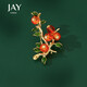 Jay Shishi Ruyi brooch for women Chinese style New Year's celebration birthday gift for elders, mother and mother-in-law