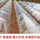 Jiayou agricultural transparent plastic film for growing vegetables and small shed film, agricultural special film, plastic cloth insulation mulch film to prevent cold, 4 wire small shed special film, 2 meters wide and 2 meters long