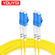 YOUYSI 光纤跳线 单模双芯电信级SC-SC光纤跳线3米 单模双芯LC-LC 2米