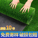 Qingya simulated lawn carpet, fake turf bedding, plastic outdoor artificial court, artificial fence, kindergarten green floor mat, 2cm spring grass upgraded soft wear-resistant grass, hot selling