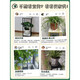 Anding Home Flower Shelf Living Room Nifor Indoor Iron Indoor Succulent Green IDIOLUS PLANTAGE PLANTAGE SIMPLE DÉCORATIVE POT BRACKET BLACK RACK + Blackboard_Width 24 High 60 Renfort Rib Support