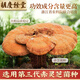 Hu Qingyutang gebrochene Wand Ganoderma lucidum spore pulverkapsel Blaues Kappenzertifizierung verstärkt die Immunernährung leicht zu absorbieren 0,35 g*60 Kappen/Flaschen vier Flaschen [zwei Geschenktüten]