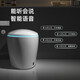 Hengjie Smart Toilate без давления воды ограничение пенопласта Flip Home Integrated Полностью автоматический электрический туалет 6231 Простая версия с ограничением давления воды 350 мм