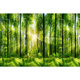 ZHEWEI-Wanddekoration Malmalerei 3D dreidimensional Tapete Desktop-Aufkleber Wandbilder natürliche Waldlandschaft selbstschützender SN3892 Pastoralstrom kleine Trompetenbreite 80 cm