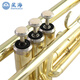 Xinghai trumpet B-flat brass tube Western musical instruments, beginners and beginners to perform musical instruments, B-flat brass E-581