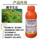 Zhengqi 5% benzylaminopurine accelerates flower bud differentiation and improves fruit set, seedless and firm cytokinin 500g/bottle