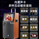 Temeisheng QX15-65H outdoor square dance video audio karaoke Bluetooth high-power with display screen song request mobile trolley speaker karaoke singing home performance Bluetooth speaker QX15-65+dual U-segment wireless microphone+gift package