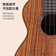 瑞声（Realsun）相思木全单尤克里里AS/AC/AT200乌克丽丽初学者成人小吉他弹唱 26英寸AT200【电箱版+琴包】