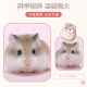 Domestic small hamster live animal three-line silver fox golden bear baby live pair free hamster food snack package supplies (breeding feed) three-line