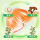 芙顺堂李时珍葛根灵芝护肝片肝脏排养肝护肝片熬夜保健品喝酒 3盒疗程装