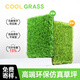 COOLGRASS simulated turf, fake turf, artificial turf, outdoor courtyard balcony, roof, villa courtyard, outdoor carpet turf 40mm flagship model 1m*4m 4 square meters