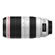 Canon EF 100-400mm f/4.5-5.6L IS II USM telephoto zoom lens international version