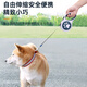 Gasgoo Dog Leash Automatic Retractable Dog Walking Cat Small and Medium-sized Dogs Teddy Corgi Large Dog Pet Supplies