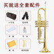 海之韵 小号乐器降B调小号儿童学生青年号三音西洋管乐初学考级乐队小号 经典演奏款