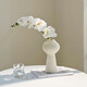 Flower e-flow Phalaenopsis artificial flower fake flower table decoration light luxury high-end flower arrangement dining table floral decoration home decoration 1 branch white + narrow mouth flat bottle