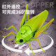
Creation techniques remote control grasshopper electric toys little boys and girls Internet celebrity simulation can move insects, reptiles, small animals, children's pranks [Classic version - remote control centipede] Yellow and black model 9901+ screwdriver, equal size