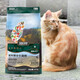 信元发育宝（SINGEN）全价通用成猫粮10kg  猫用粮猫猫主粮大袋 活力系列EC35 