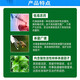 Phytosol 80% mancozeb fully complexed citrus, fruit tree and vegetable downy mildew scab leaf spot pesticide broad-spectrum fungicide