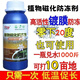 Imported plant antifreeze liquid antifreeze plant antifreeze melons, fruits and vegetable seedlings antifreeze safe winter antifreeze no frost damage antifreeze 500g* bottle cold resistance + fertilizer supplement to increase production