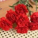 Mother's Day gift: 10 single-headed carnations in random colors