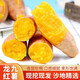 Freshly dug sandy sweet potato air fryer sweet potato sandy floor chestnut potato fresh self-grown Longjiu authentic yellow heart sweet sweet sandy sweet potato 2Jin Jin equal to 0.5kg with box small and medium fruit
