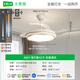 大观园（DGY）风扇灯卧室灯新款隐形风大现代简约北欧主卧房间电扇一体灯具687O 吊灯款42寸-无极调光-36W-全光谱