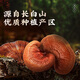 Lei yun Shang Breaking Wall Ganoderma lucidum spore pulver 22g*3 Box ganoderma lucidum powder verstärkt die Immunität und erholt die Ältestengeschenke