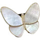 WOUG zirconium emerges from the cocoon and becomes a butterfly. Fritillary butterfly brooch for women. Shell temperament suit accessories. Sea shell + gift box