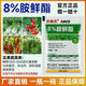 Aminoethyl ester, rice production increase, vegetable and fruit tree disease resistance, stress resistance, drug damage expansion, sweetening, plant growth regulator 8% ethylamine ester 10g*100 bags