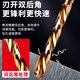 Delixi Electric tungsten steel drilling special stainless steel alloy universal twist drill super-hard industrial grade drill bit 6.0mm 1 pack