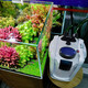 森森（SUNSUN） 鱼缸过滤器缸外过滤桶水族箱外置过滤设备 无杀菌 HW-702A(适合0.6-1米鱼缸)