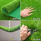 Kaosen simulated lawn carpet kindergarten mat fake grass green artificial artificial turf outdoor decoration plastic green 2cm spring grass thickened extra dense black base
