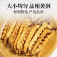Пекин Тонгрентанг [Черная пятница] Cordyceps Sinensis Fresh Cordyceps сухожие товары Cordyceps Аутентичный фестиваль чистого мяса 31 штуки для 3 пакетов