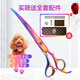 Xuanniao pet scissors household dog hair cutting curved scissors trimming shearing scissors pet grooming scissors tool set purple (straight scissors + curved scissors)