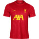 耐克（Nike）天朗足球耐克24/25利物浦赛前训练短袖球衣足球服成人FN9653-688 红色#FN9653-688 M