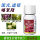 Guoguang Daoling 0.1% Thidiazuron, Melon, Grape, Apple Tree Expansion Agent to Promote Fruit Growth and Plant Growth Regulator 30ml