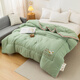 Yalu Home Textile Class A soybean fiber quilt in winter quilt thickened 10 Jin [Jin equals 0.5 kg] Double winter quilt single person 6 Jin [Jin equals 0.5 kg] Space quilt Miya-green [A maternal and infant grade soy protein] 200x230cm10 Jin [Jin equals 0.5 kg] Thickened winter quilt