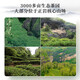 Xigua (xigua) combination tea Dahongpao cinnamon narcissus 48g canned Wuyi rock tea tasting 6-brew ration tea