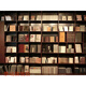 Estudio de ensueño estanterías de fondos en vivo Bookcase de biblioteca Decoración de la oficina de fondo en vivo D Anchor de celebridades tridimensionales de Internet
