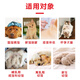 Cute Pet Star Lactoferrin 0 Lactose Goat Milk Powder Dog Goat Milk Powder Cat Milk Powder Pet Zero Lactose Goat Milk Powder 5g*20 Bags