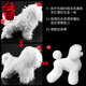 Black Bird Pet Professional Beauty Simulation Fake Hair Model Teddy Ram VIP Head Model Fake Dog Model Skeleton Practice Special Teddy Head Fake Hair (model not included)