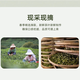 
Qiqin QI QIN TEA Pinghe Baibu Qilan Oolong Tea Geographical Indication Famous Tea Gift Box High-end Gift 25 Years New Tea Spring Tea Premium Gift Box-Gold Award