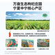 早康宁夏中宁枸杞原浆300ml头茬鲜果鲜榨100%送父母补礼物肾
