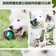 Ravipet Dog Toy Ball Luminous Sound Dog Teething Toy Golden Retriever Corgi Toy Teddy Border Collie Toy Small Dog Luminous Sound Ball