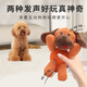 EETOYS cloth plush dog toy, teeth-molding, chewing-resistant, sound-making, interactive puppy companion, boredom-relieving, demolition-proof household pet supplies