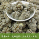 Sanqitou Authentische Yunnan Wenshan 20 Spring Sanqitou Ganze chinesische medizinische Materialien Trockenwaren, Spezialgrad Wildfeld 7 neue Waren 20 Sanqitou 500g