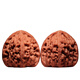 GUIG [Boutique] Southern Xinjiang Stone Wenwan Walnut Lion Head Old Style Zhuolu Basin Bottom Cannonball Pile Generation South General [41 Southern Xinjiang] 12807t