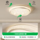 Grand View Garden (DGY) Luz de techo de sala de estar Nordic Starlight Modern Simple Light Atmosférica Atmosférica Minimalista Ambient Ojo Iluminación 687O Círculo-40 cm-Win-Win-24 W-Full Spectrum
